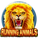 RTP CQ9 csplay168